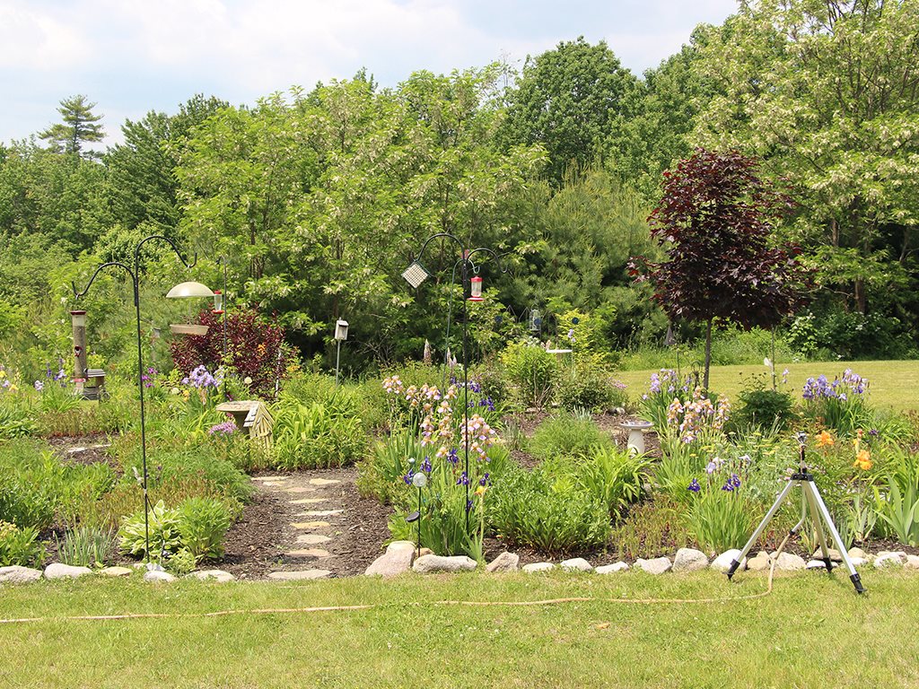 Photos and Video of Elwell Farms in Buxton, ME